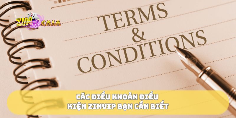 Các điều khoản điều kiện Zinvip bạn cần biết