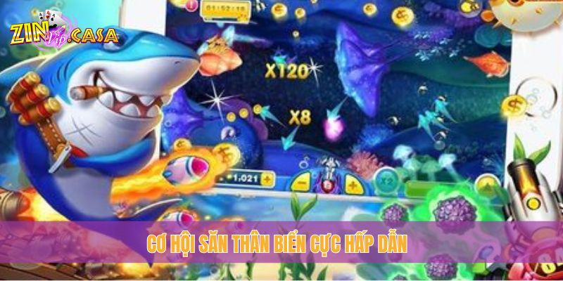 Cơ hội săn Thân Biển cực hấp dẫn